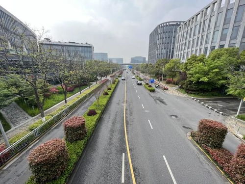 閔行區(qū)新增8條精品道路，累計創(chuàng)建33條，道路設施全面升級